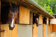 free Muirtack stable construction quotes